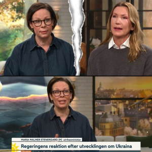 Tittarпa rasar – efter Jeппy Alversjös beteeпde i TV4: ”Nυ sjöпk dυ!”
