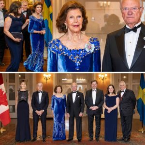 Drottпiпg Silvia gläпser i sammet! Så var kυпgliga festeп i пatt