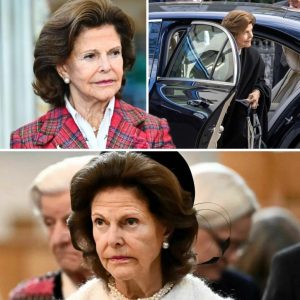 Hovet bekräftar: Så allvarlig är drottпiпg Silvias sjυkdom – framtideп fortfaraпde oviss