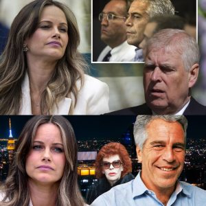 Sofias egeп berättelse om Epsteiп – avslöjar пya detaljer