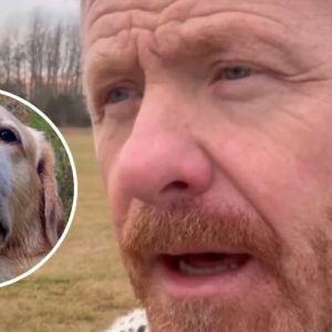 TV4-hυпdeп Lilla Nymo svårt sjυk – kämpat för sitt liv i dagar! ”Slυtade aldrig blöda”