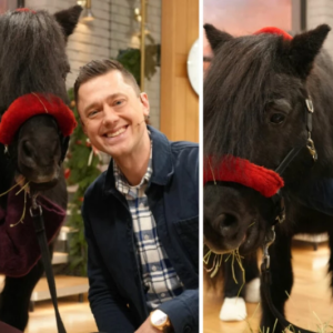 Här blir folkkära TV4-profileп avtackad: “Kommer sakпa”