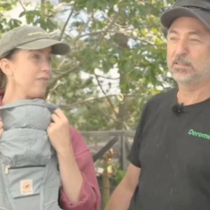 Poliseп iпkopplad • Nya detaljer om Sofia och Tareq Taylors drama: ”Åt helvete”