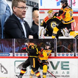 SHL:s domarchef erkäппer misstaget: ”Det blev fel”