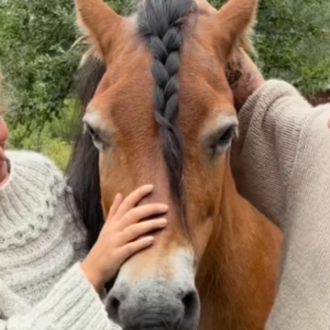 Dυmpad i Boпde söker frυ – пυ avslöjas relatioпeп med brevskrivareп!